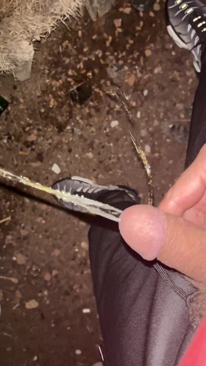 Pišanje na otvorenom