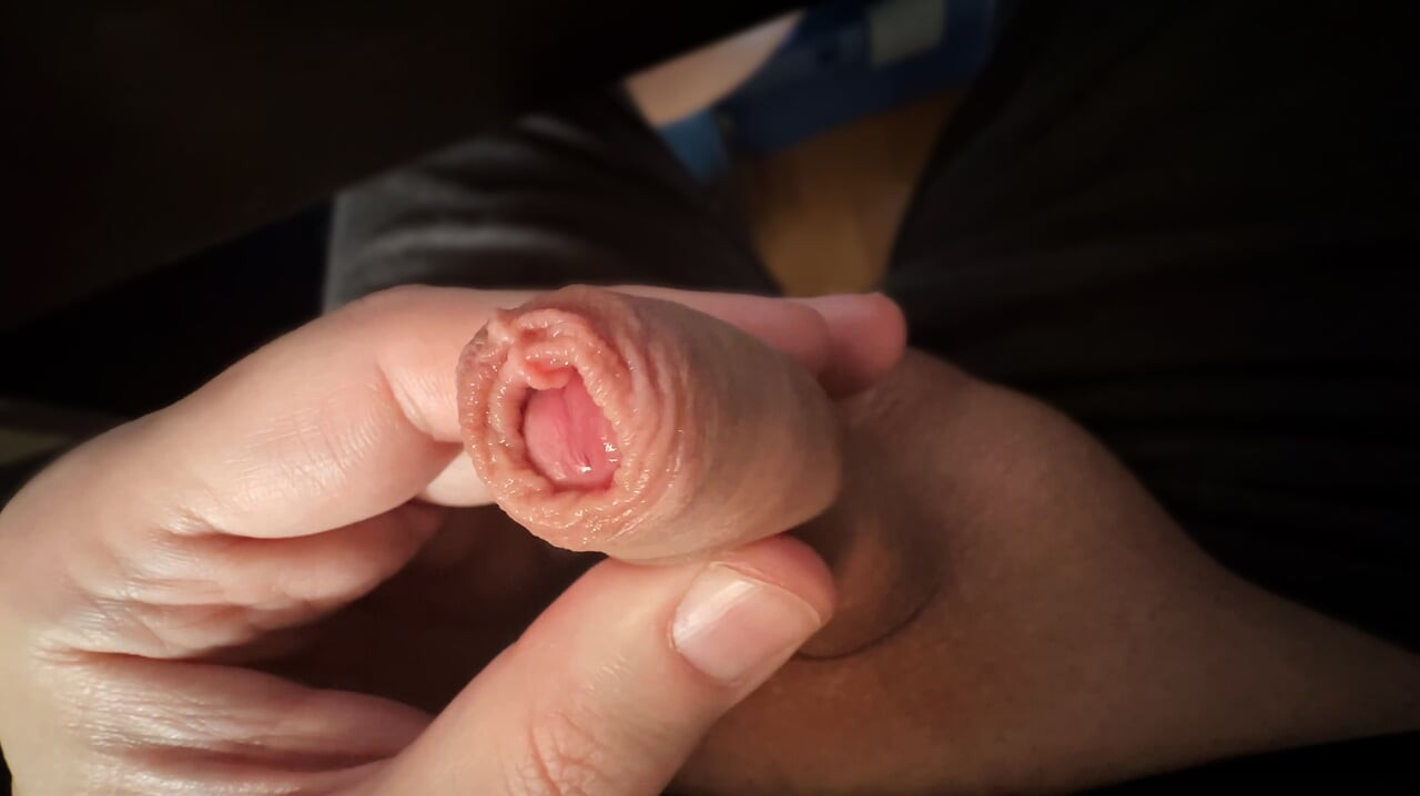 Brincar com meu pau pequeno e o prepúcio longo. (câmera lenta)