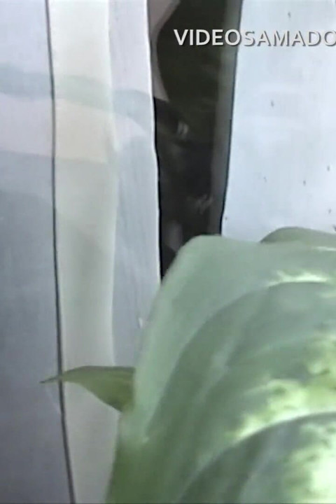 Mann erwischt seine bisexuelle freundin beim sex mit einer anderen frau