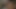Abanoz kırmızı kemik ve bbc