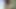 I'm teasing my big dick (softcore)
