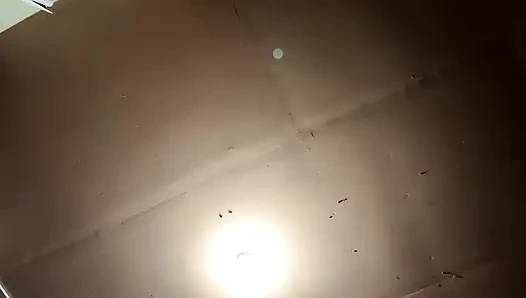 Stream Begann am 02/18/2024 08:43 Bin ich hoffe, dass sie diesen fangen