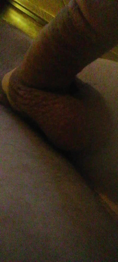 Penis mare