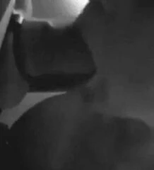Cheating merried milf sucking cock