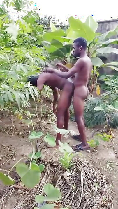 Dva Afrikanci, pastiri se u grmlju