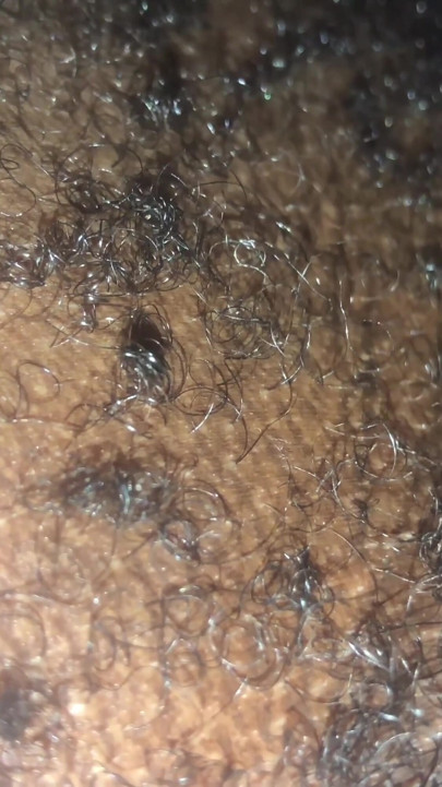 Aventures d’éleveurs noirs 231 | Clip 1