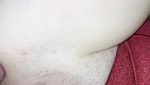 Anal Bakış Açısı