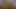 siyah yayılıyor ve sürtünme onu KEDİ, büyük siyah nips