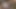 Buttslut billie macht eine schlampige anale masturbation