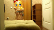 Pregled videozapisa