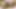 Friend's wife delicious pussy eating and I can't stop licking
