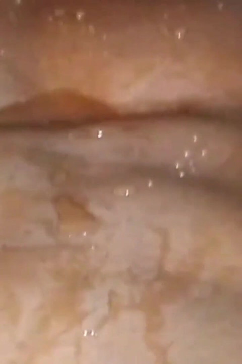 BBW Sucking BBC Fingering My Pussy Squirting Hard