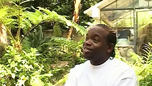 Heißer Ebony-Amateur-Sex in verschiedenen Positionen