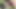 Jerk Off Compilation - 10 Cumshots