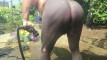 Pregled videozapisa