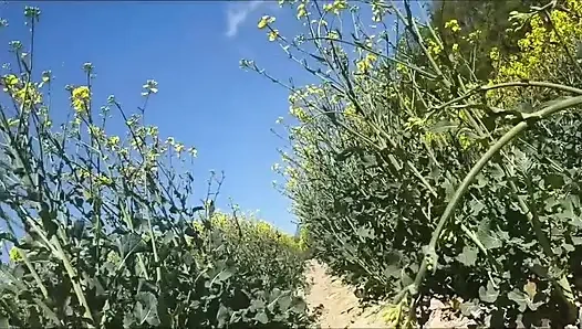 Nature inspired us and we couldn't resist