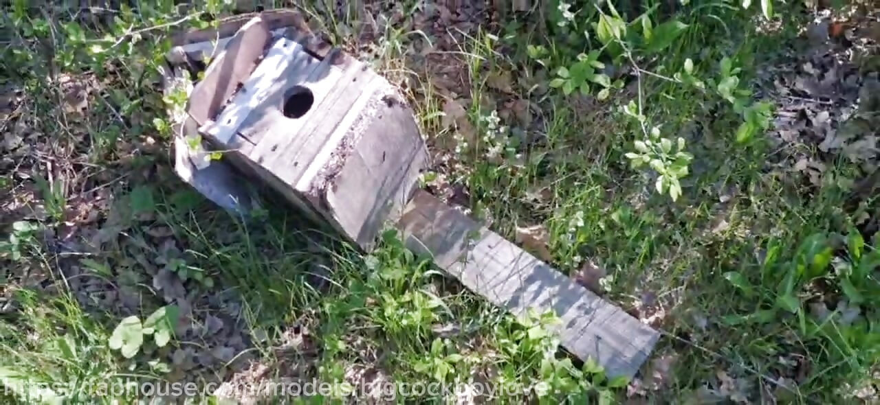 爸爸和一个学生在野餐时被热辣地无套抽插. 粗暴公共场合性爱.