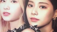 Twice sana ve tzuyu boşalmak haraç