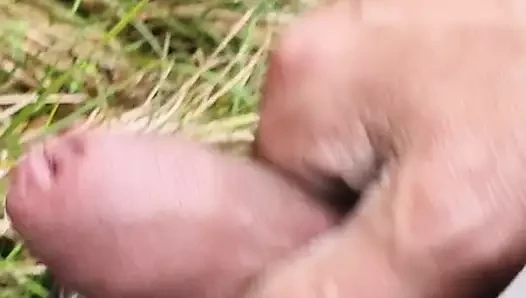 Piss