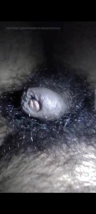 My dick is hungry for pussy