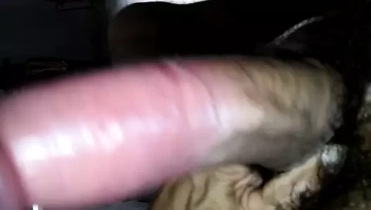 Pija golosa dura y caliente