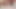 Bad Dragon T Rex dildo gaping rosebud Loose hole prolapse