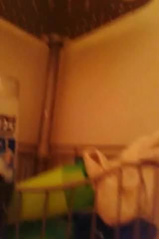 shower jerk off