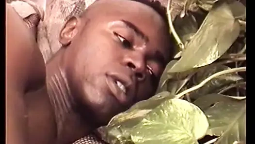 Busty White Star in Sexy Lingerie Loves Lovers Massive Black Cock