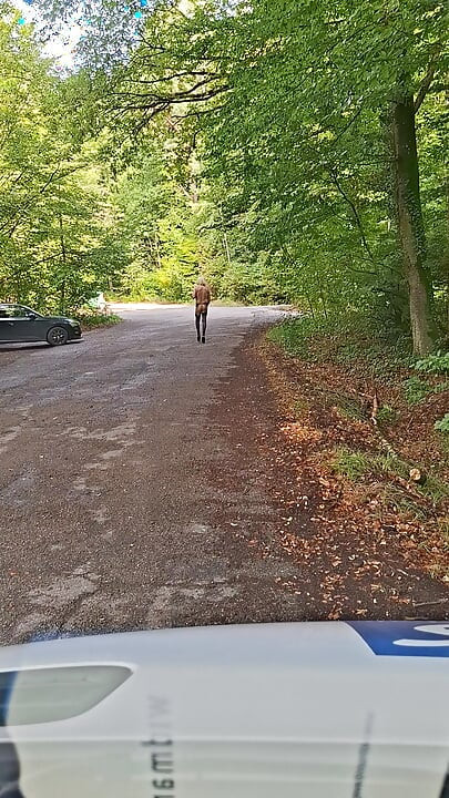 Šumsko parkiralište