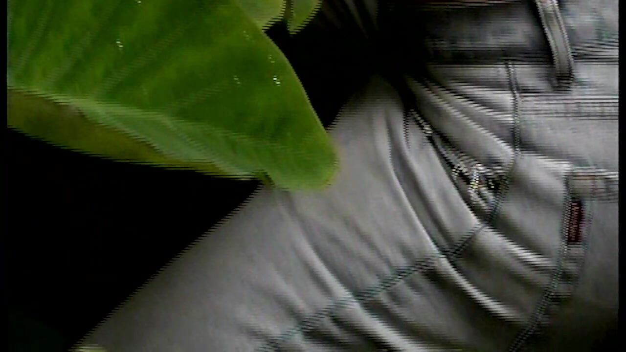 粗暴的爸爸等不及了 - 在一刻的激情中狂野的户外联播