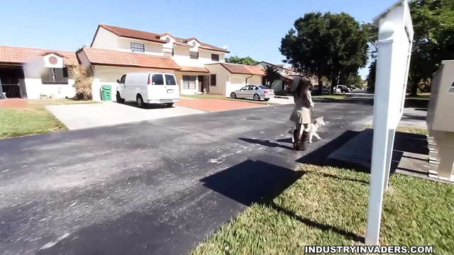 Nosy Neighbors