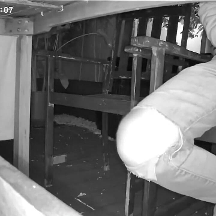 Amateur Boy Caught on Night Vision Cam Peeing Himself Sitting at the Garden Table (he Totally Wets His Pants) )