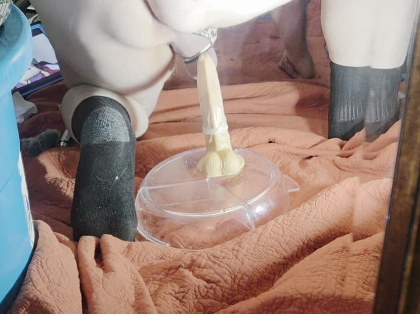 Pregled videozapisa