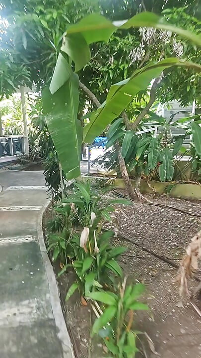 A lil slice of Paradise - Caribbean joy and delights