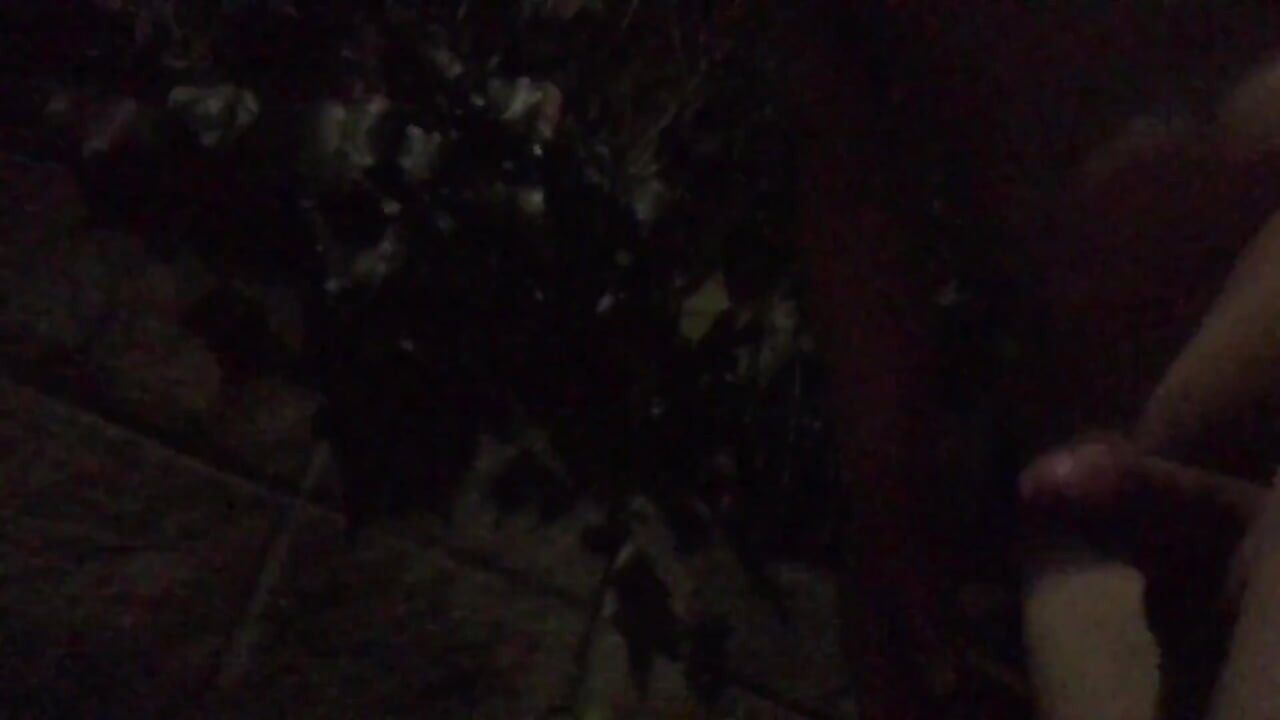 Wandering the Neighborhood Late at Night with a Naked Erection - Impatient for a Thrill _ 0207 Temp 05 Degree
