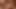 Smut Puppet - Gangbanged Teens and MILFs Compilation