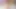 Halte schwanz in deinem mund, Allmylinks, MisssVikki