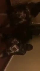 Hotel fun