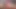 Tattooed Latino twink Dave Andrew ass drilled after blowjob