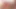 Four t-girls expose huge butts and give each other blowjob