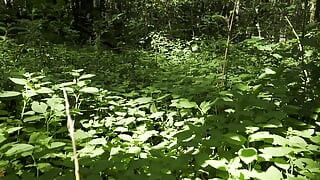 trailer Mesmeriza 23 03 MOV CINEMA CLIP 322 20240814144714515