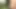 I decided to jerk off in the woods while walking my dog