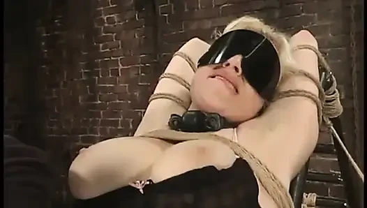 Adrianna nicole ve tork