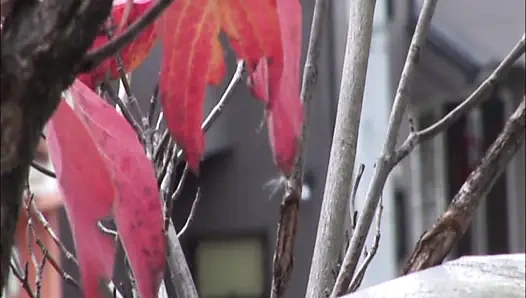 A079G11 The eldest son runs out of control SEX with a frustrated mother who indulges in masturbation in the bath!