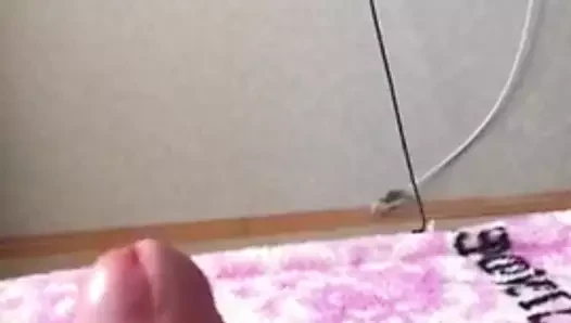 Porno