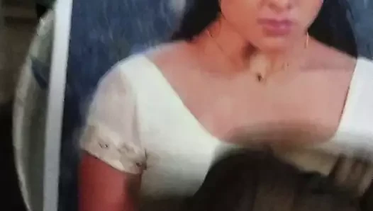 Shirya cu haraç