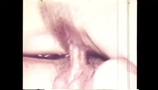 Rick Cassidy Wild Colt