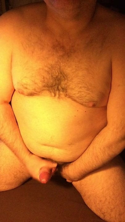 Bear NightCum