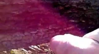 Wanking in the woods...with good cumshot