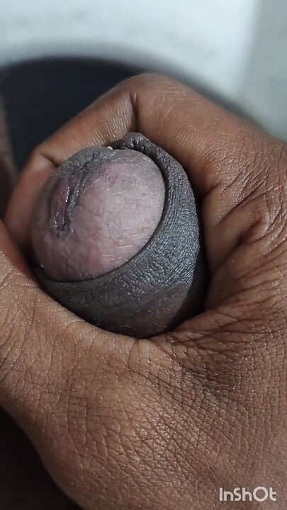 Tamil Boy